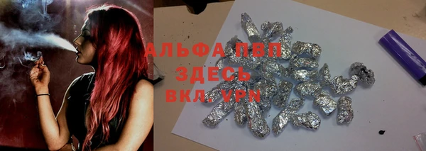 ПСИЛОЦИБИНОВЫЕ ГРИБЫ Осташков