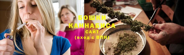 ПСИЛОЦИБИНОВЫЕ ГРИБЫ Осташков