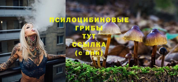 ПСИЛОЦИБИНОВЫЕ ГРИБЫ Осташков