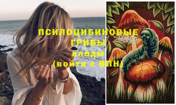 ПСИЛОЦИБИНОВЫЕ ГРИБЫ Осташков
