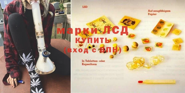 ПСИЛОЦИБИНОВЫЕ ГРИБЫ Осташков