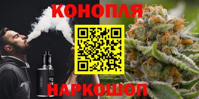 гидра Абакан