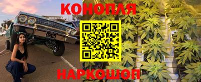 мяу мяу мука Абакан