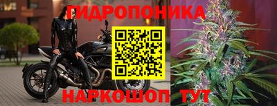 гидра Абакан
