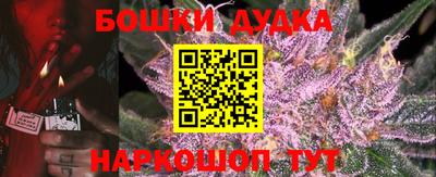 гидра Абакан