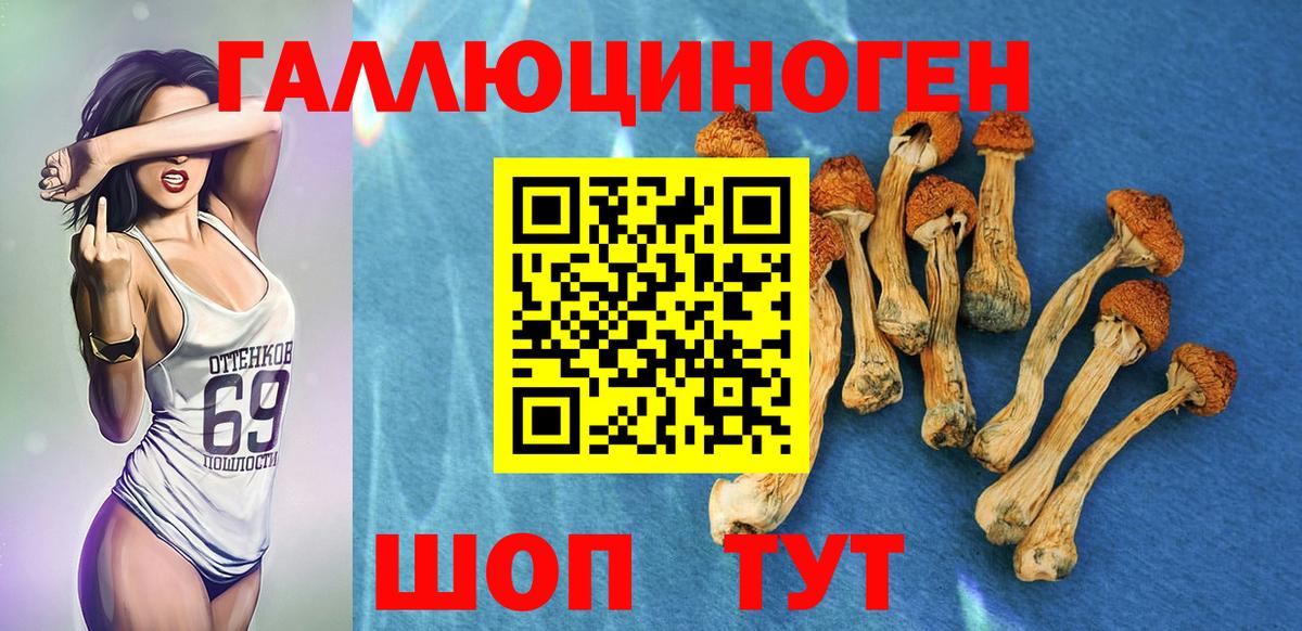 Псилоцибиновые грибы ЛСД Амурск