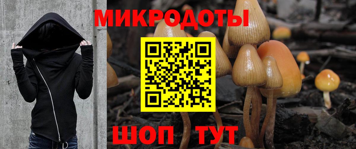 Галлюциногенные грибы Magic Shrooms Амурск