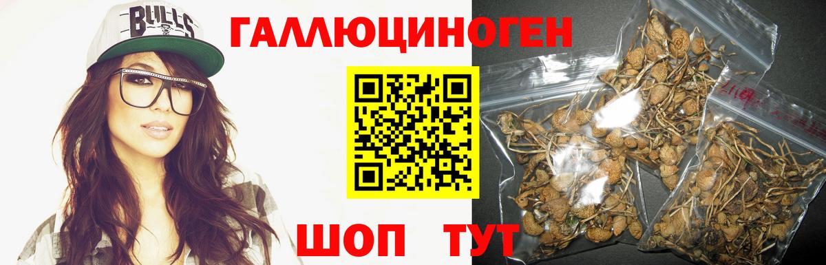 Галлюциногенные грибы прущие грибы Амурск