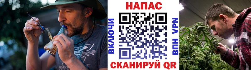 Шишки марихуана Amnesia OMG ссылка Амурск даркнет сайт
